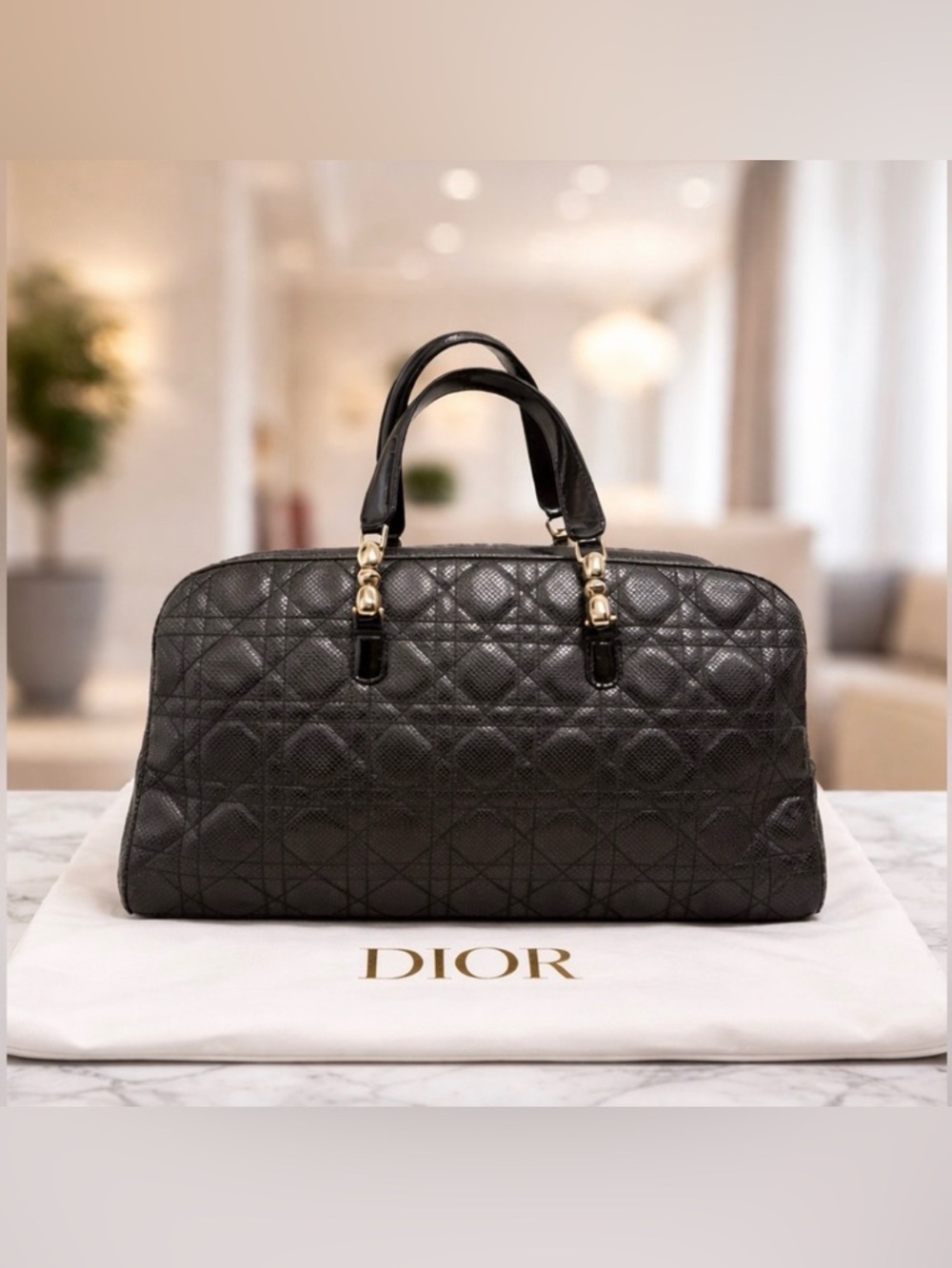 Dior Cannage Malice Satchel Bag - Picture 1 of 8